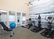 Thumbnail 8 of 15 - a gym with cardio equipment and a mural of a beach